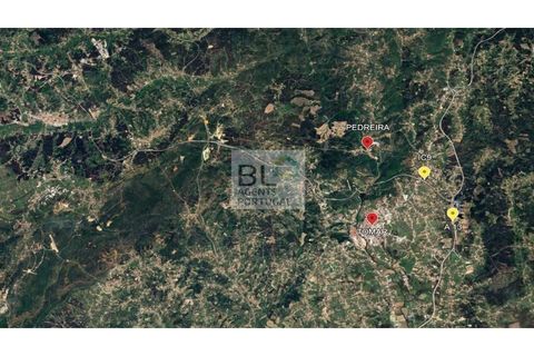 Villa i Tomar, Santarem, Tomar - € 477.000 | Ref: CAS_329 - foto 24