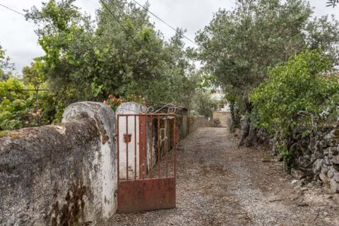 Villa i Portalegre, Portalegre, Portalegre - € 85.000 | Ref: SG007 - foto 3