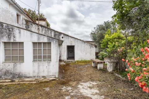 Villa i Portalegre, Portalegre, Portalegre - € 85.000 | Ref: SG007 - foto 6