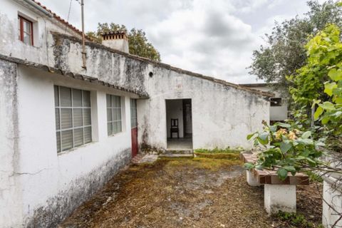 Villa i Portalegre, Portalegre, Portalegre - € 85.000 | Ref: SG007 - foto 7
