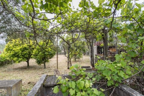 Villa i Portalegre, Portalegre, Portalegre - € 85.000 | Ref: SG007 - foto 11