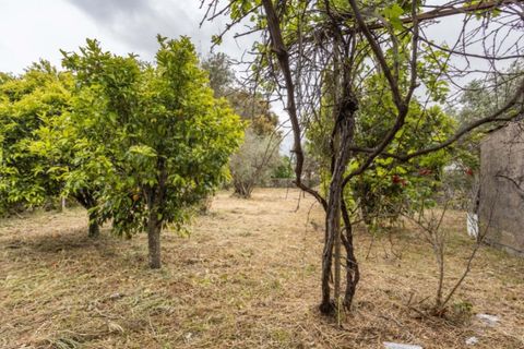 Villa i Portalegre, Portalegre, Portalegre - € 85.000 | Ref: SG007 - foto 13