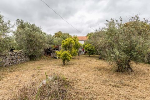 Villa i Portalegre, Portalegre, Portalegre - € 85.000 | Ref: SG007 - foto 15