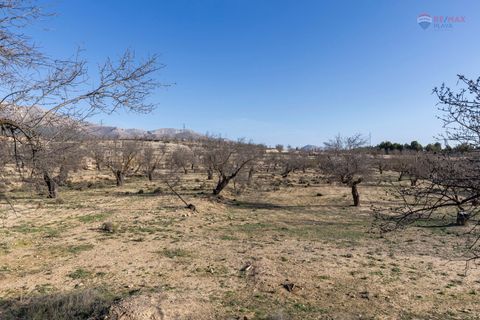 Landejendom i Chirivel, Almeria, Chirivel - € 99.900 | Ref: 3243-05198 - foto 14
