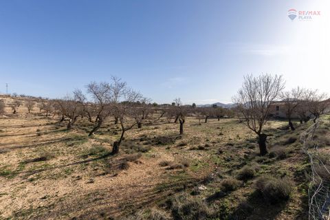 Landejendom i Chirivel, Almeria, Chirivel - € 99.900 | Ref: 3243-05198 - foto 15