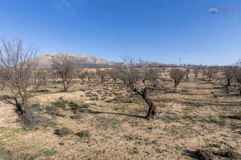 Landejendom i Chirivel, Almeria, Chirivel - € 99.900 | Ref: 3243-05198 - foto 16
