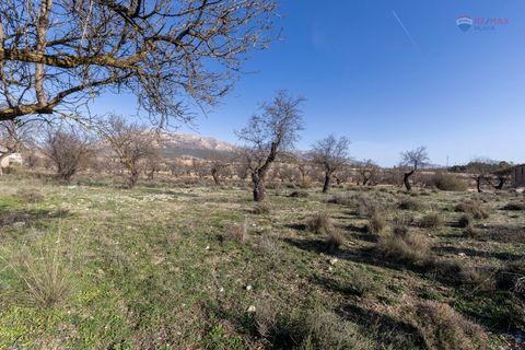 Landejendom i Chirivel, Almeria, Chirivel - € 99.900 | Ref: 3243-05198 - foto 17