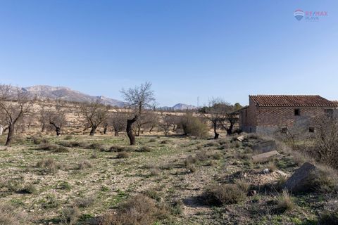 Landejendom i Chirivel, Almeria, Chirivel - € 99.900 | Ref: 3243-05198 - foto 18