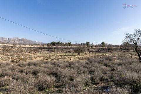 Landejendom i Chirivel, Almeria, Chirivel - € 99.900 | Ref: 3243-05198 - foto 22
