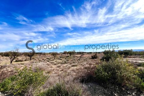 Villa en Taberno, Almeria, Taberno - € 212.000 | Ref: 204 - photo 21