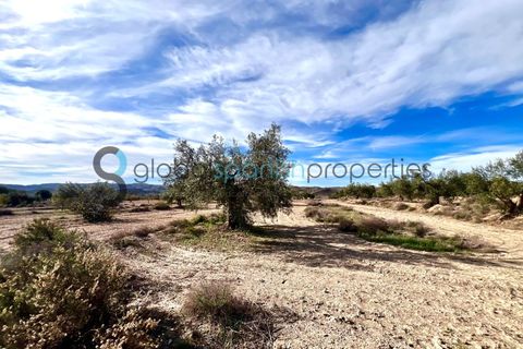 Villa en Taberno, Almeria, Taberno - € 212.000 | Ref: 204 - photo 23