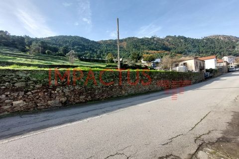 Helårsgrund i Tabuaco, Viseu, Tabuaco - € 75.000 | Ref: DN1564 - foto 1