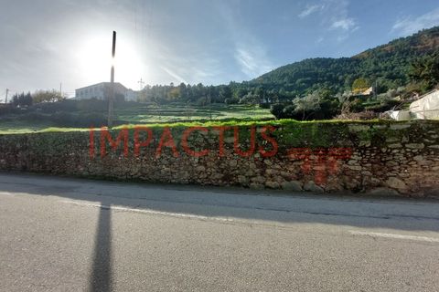 Helårsgrund i Tabuaco, Viseu, Tabuaco - € 75.000 | Ref: DN1564 - foto 2