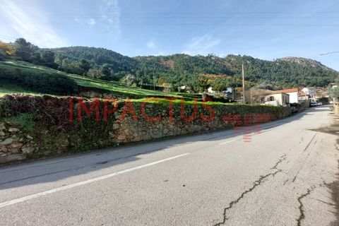 Helårsgrund i Tabuaco, Viseu, Tabuaco - € 75.000 | Ref: DN1564 - foto 3