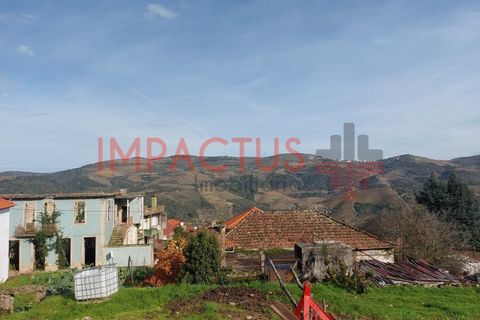 Helårsgrund i Tabuaco, Viseu, Tabuaco - € 75.000 | Ref: DN1564 - foto 5