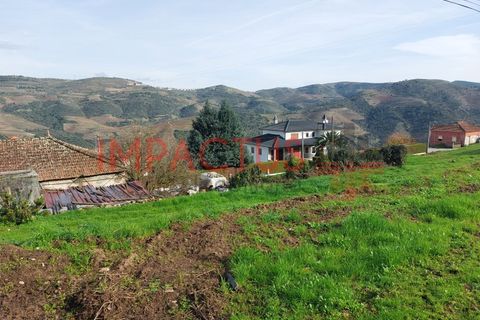 Helårsgrund i Tabuaco, Viseu, Tabuaco - € 75.000 | Ref: DN1564 - foto 8