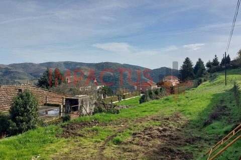 Helårsgrund i Tabuaco, Viseu, Tabuaco - € 75.000 | Ref: DN1564 - foto 9