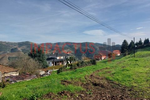 Helårsgrund i Tabuaco, Viseu, Tabuaco - € 75.000 | Ref: DN1564 - foto 10