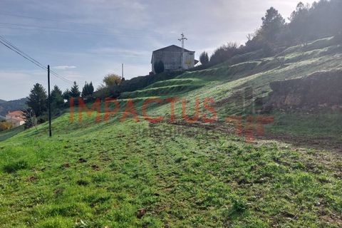 Helårsgrund i Tabuaco, Viseu, Tabuaco - € 75.000 | Ref: DN1564 - foto 11