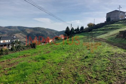 Helårsgrund i Tabuaco, Viseu, Tabuaco - € 75.000 | Ref: DN1564 - foto 12