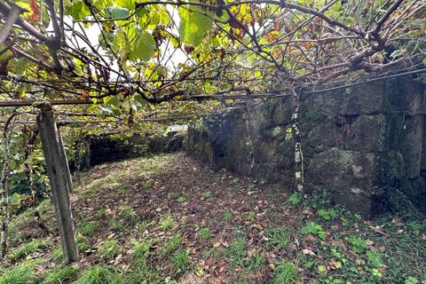 Villa i Viana do Castelo, Viana do Castelo, Viana do Castelo - € 88.900 | Ref: A642024 - foto 22
