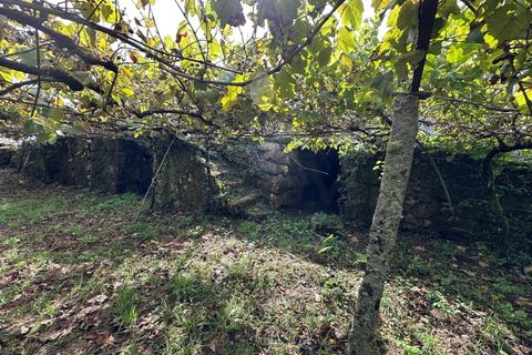 Villa i Viana do Castelo, Viana do Castelo, Viana do Castelo - € 88.900 | Ref: A642024 - foto 24