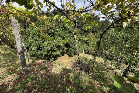 Villa i Viana do Castelo, Viana do Castelo, Viana do Castelo - € 88.900 | Ref: A642024 - foto 26