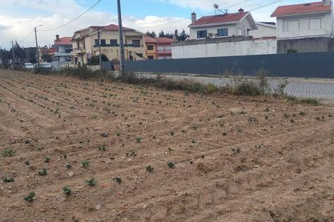 Helårsgrund i Vila do Conde, Porto, Vila do Conde - € 380.000 | Ref: 132365 - foto 6