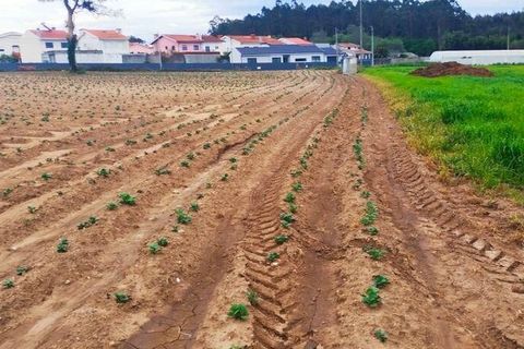 Helårsgrund i Vila do Conde, Porto, Vila do Conde - € 380.000 | Ref: 132365 - foto 8