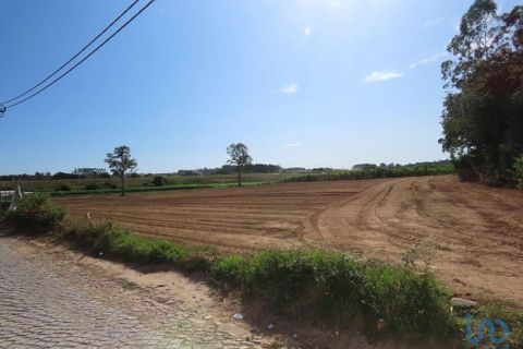 Helårsgrund i Vila do Conde, Porto, Vila do Conde - € 380.000 | Ref: 132365 - foto 3