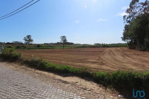 Helårsgrund i Vila do Conde, Porto, Vila do Conde - € 380.000 | Ref: 132365 - foto 9