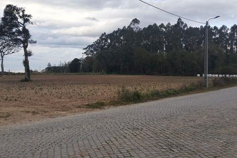 Helårsgrund i Vila do Conde, Porto, Vila do Conde - € 380.000 | Ref: 132365 - foto 23