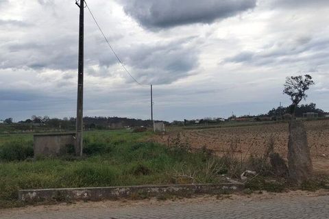 Helårsgrund i Vila do Conde, Porto, Vila do Conde - € 380.000 | Ref: 132365 - foto 24