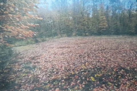 Villa i Liginiac, Correze, Liginiac - € 65.000 | Ref: CC-4551 - foto 4