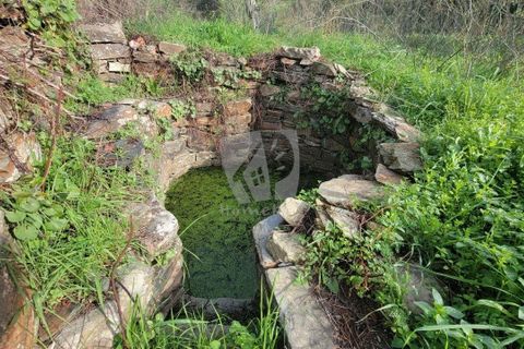 Helårsgrund i Castelo Branco, Castelo Branco, Castelo Branco - € 29.500 | Ref: H720 - foto 2