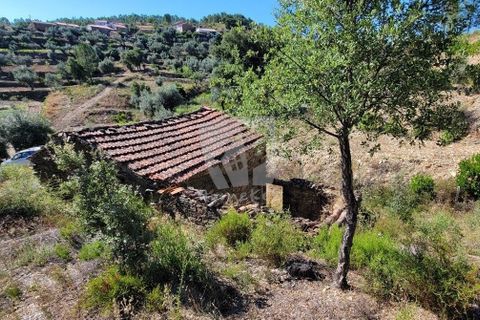 Helårsgrund i Castelo Branco, Castelo Branco, Castelo Branco - € 29.500 | Ref: H720 - foto 4