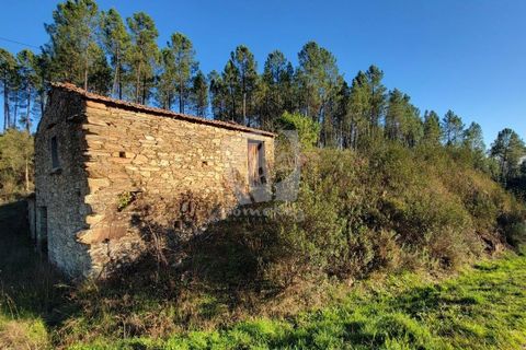 Helårsgrund i Castelo Branco, Castelo Branco, Castelo Branco - € 29.500 | Ref: H720 - foto 11