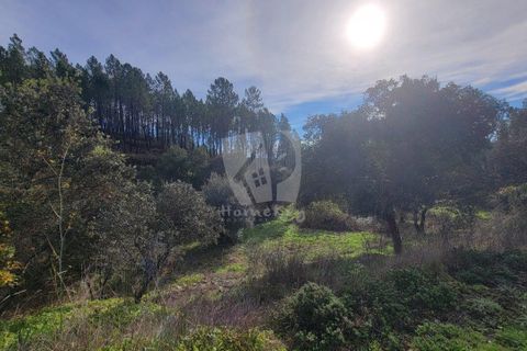 Helårsgrund i Castelo Branco, Castelo Branco, Castelo Branco - € 29.500 | Ref: H720 - foto 15