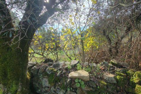 Helårsgrund i Castelo Branco, Castelo Branco, Castelo Branco - € 29.500 | Ref: H720 - foto 17