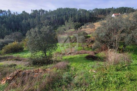 Helårsgrund i Castelo Branco, Castelo Branco, Castelo Branco - € 29.500 | Ref: H720 - foto 21