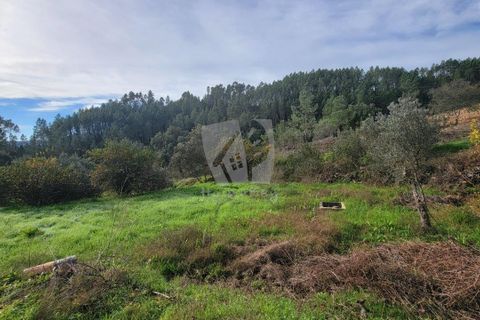 Helårsgrund i Castelo Branco, Castelo Branco, Castelo Branco - € 29.500 | Ref: H720 - foto 22