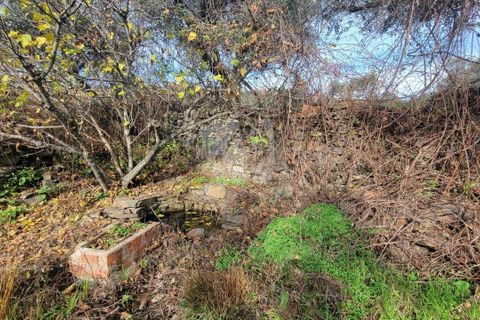Helårsgrund i Castelo Branco, Castelo Branco, Castelo Branco - € 29.500 | Ref: H720 - foto 23