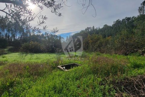 Helårsgrund i Castelo Branco, Castelo Branco, Castelo Branco - € 29.500 | Ref: H720 - foto 24
