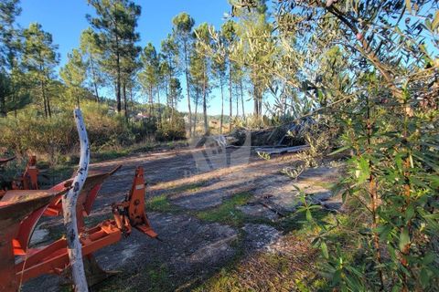 Helårsgrund i Castelo Branco, Castelo Branco, Castelo Branco - € 29.500 | Ref: H720 - foto 26