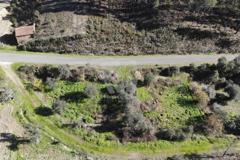 Helårsgrund i Castelo Branco, Castelo Branco, Castelo Branco - € 29.500 | Ref: H720 - foto 32