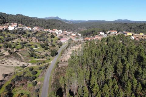 Helårsgrund i Castelo Branco, Castelo Branco, Castelo Branco - € 29.500 | Ref: H720 - foto 33