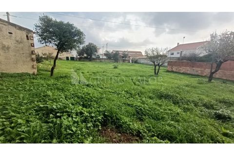 Helårsgrund i Sintra, Lisbon, Sintra - € 395.000 | Ref: 010561078 - foto 10