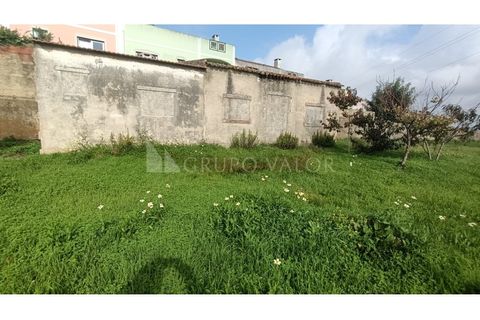 Helårsgrund i Sintra, Lisbon, Sintra - € 395.000 | Ref: 010561078 - foto 11