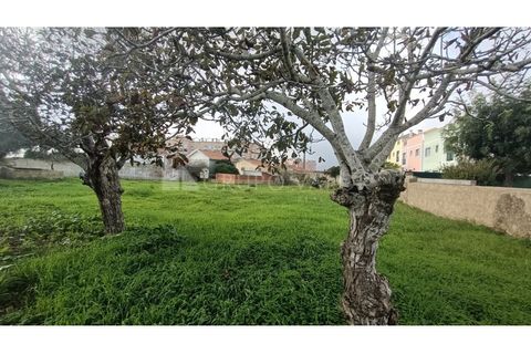 Helårsgrund i Sintra, Lisbon, Sintra - € 395.000 | Ref: 010561078 - foto 12