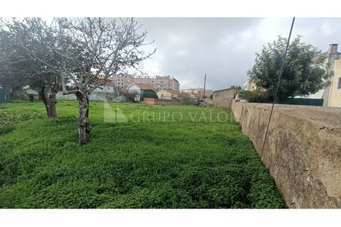 Helårsgrund i Sintra, Lisbon, Sintra - € 395.000 | Ref: 010561078 - foto 13